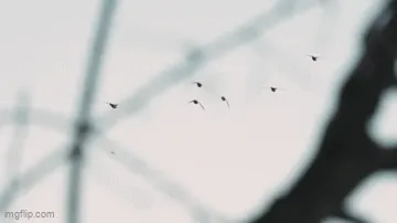 Landing Zone Jacket film